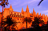 Europe, Spain, Majorca, Palma, Cathedral, La Seu