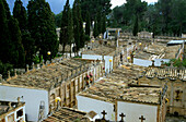 Europe, Spain, Majorca, Andratx, Graveyard