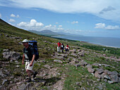 Hikers on the Dingle Way, Near Blennerville, Dingle Peninsula, County Kerry, Ireland
