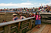 Junges Mädchen beobachtet ein Rodeo in Chonchi, Chiloé, Chile, Südamerika