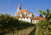 Vineyards by Weissenkirchen town in Lower Austria