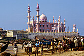 Fishermen, mosque. Kovalam. Kerala. India.