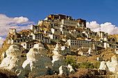 Tiksey Gompa Buddhist monastery. Ladakh, Jammu and Kashmir, India