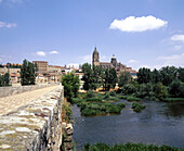Roman bridge and Tormes river. Salamanca. Spain