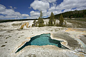 Tortoise shell spring, pool. Yellowstone National Park. Wyoming. USA