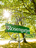 Rose Garden in the Ohlsdorf Cemetery, Hanseatic City of Hamburg, Germany
