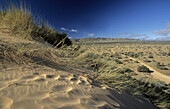 Dunes and arid Savanna, Witsand Nature Reserve, N Cape, South Africa