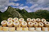 Quesería (cheese producer). La Collada, los Beyos, typical cheese from Asturias. Amieva, Asturias. Spain.