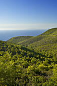 Landscape near Porto Vromi, Zakynthos Island, Greece