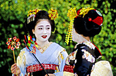 Maikos (geisha apprentices). Kyoto, Japan