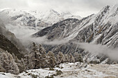 Gran Paradiso National Park, Italian Alps