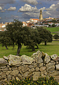 Spain_Andalusia_Cordoba_ village of Los Pedroches.