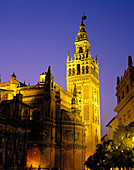 Giralda tower, Sevilla. Andalucia, Spain