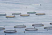 Near Salobreña Costa Tropical Granada Province Spain Aquaculture Fish farm