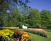 spring tulip flowers keukenhof gardens lisse holland