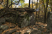 Beartown Rocks, Clear Creek State Park, Cook Forest, Western Pennsylvania, USA