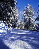 Road covered in snow, Pennsylvania, USA