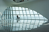Quadracci Pavilion, Art Museum, Milwaukee, Wisconsin, USA