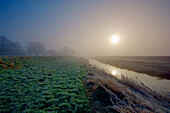 trees in grounds of bodiam castle at dawn on winter day east sussex kent border england uk europe