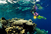 Diving, Red Sea