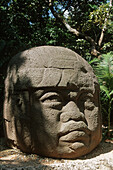 Olmec head at the La Venta Park. Villahermosa, Tabasco state, Mexico