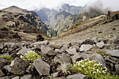 Pico Ruivo. Madeira National Park. Madeira. Portugal