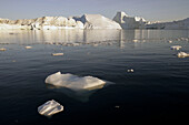 Icebergs from the Jacobshaven glacier. Isbrae. Ilulissat. Disko Bay. Greenland