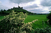 Europe, Great Britain, Ireland, Co. Tipperary, Rock of Cashel near Cahir