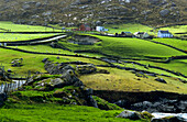 Landschaft mit Bauernhöfe im Ring of Beara, bei Allihies, Co. Cork, Republik Irland, Europa