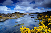 Küstenlandschaft unter Regenwolken, Ring of Beara, Beara Halbinsel, County Kerry, Irland, Europa