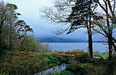 Der See Lough Leane und eine kleine Brücke unter Bäumen, Killarney Nationalpark, County Kerry, Irland, Europa