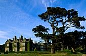 Blick auf das Herrenhaus Muckross House neben Bäumen, Killarney Nationalpark, County Kerry, Irland, Europa