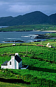 Häuser auf grüner Wiese an der Küste, Ballydonegan, County Cork, Irland, Europa
