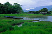 Upper Lake, Killarney Nationalpark, County Kerry, Irland, Europa