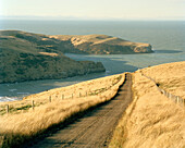 Deserted country road on shore in the sunlight, Okains Bay, Banks Peninsula, South Island, New Zealand