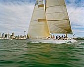 People on a sailing boat at full speed in front of Waitemata Harbour, Auckland, North Island, New Zealand