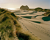 Blick auf Fußspuren auf Wanderdünen und Sandstrand im Sonnenlicht, Wharariki Beach, Nordwestküste, Südinsel, Neuseeland