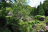 Cottage, Buckland in the Moor, Dartmoor, Devon, England, Großbritannien