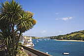 Blick auf Hafen und Strand, Salcombe, Devon, England, Großbritannien