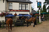 Pferde vor einem Pub, New Forest, Hampshire, England, Großbritannien