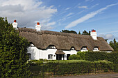 Cottage, Lyndhurst, New Forest, Hampshire, England, Großbritannien