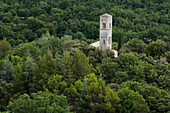 Prieure de St. Symphorien, steeple amidst green tree tops, Luberon mountains, Vaucluse, Provence, France