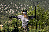 Einsame Vogelscheuche mit Mistgabel, Luberon Gebirge, Vaucluse, Provence, Frankreich