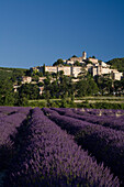 Blühendes Lavendelfeld vor dem Dorf Banon, Alpes-de-Haute-Provence, Provence, Frankreich