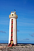 Karibik, Niederländische Antillen, Bonaire, Willemstoren lighthouse am Suezipfel von Bonaire