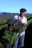 South France, Provence, Lavende Bauer
