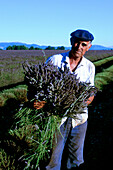 South France, Provence, Lavendel farmer