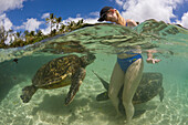 Gruene Meeresschildkroeten und Touristin, Chelonia mydas, Oahu, Pazifik, Hawaii, USA