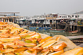 Getrockneter Fisch im Fischerdorf Tai O auf der Insel Lantau, Hong Kong, China, Asien