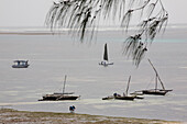 Fischerboote und Segelboote vor dem Strand von Shanzu, Mombasa, Kenia, Afrika